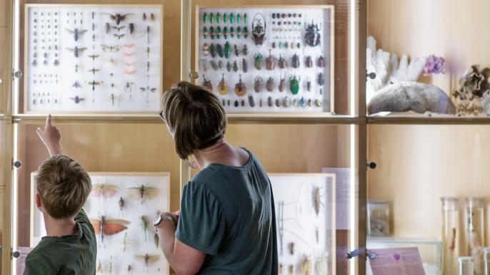 Natuurhistorisch Museum Rotterdam
