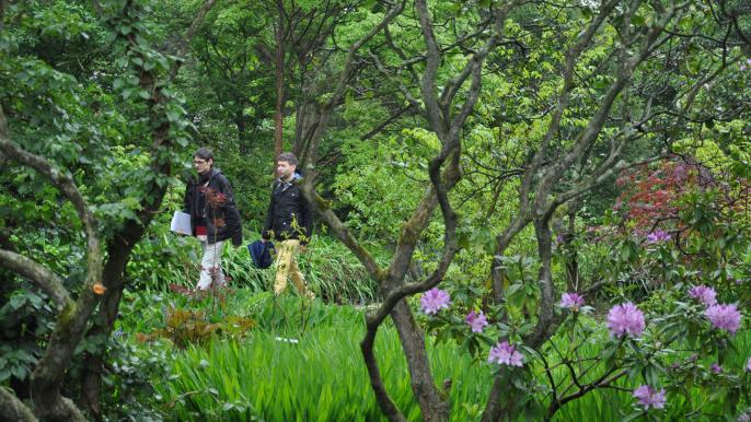 Trompenburg Tuinen & Arboretum